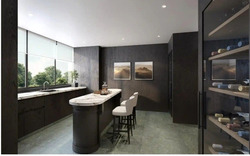 21 Anderson (D10), Condominium #496692801